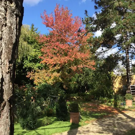 Apartment Fond De Jardin 1 Etage Palaiseau